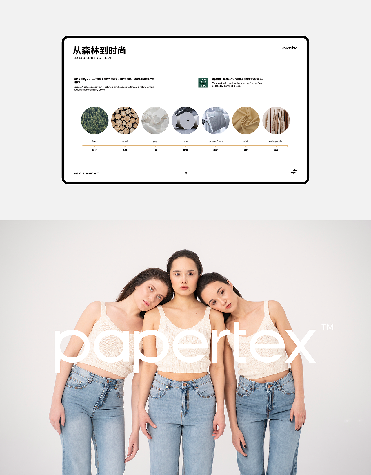 Papertex蜂络品牌全案设计