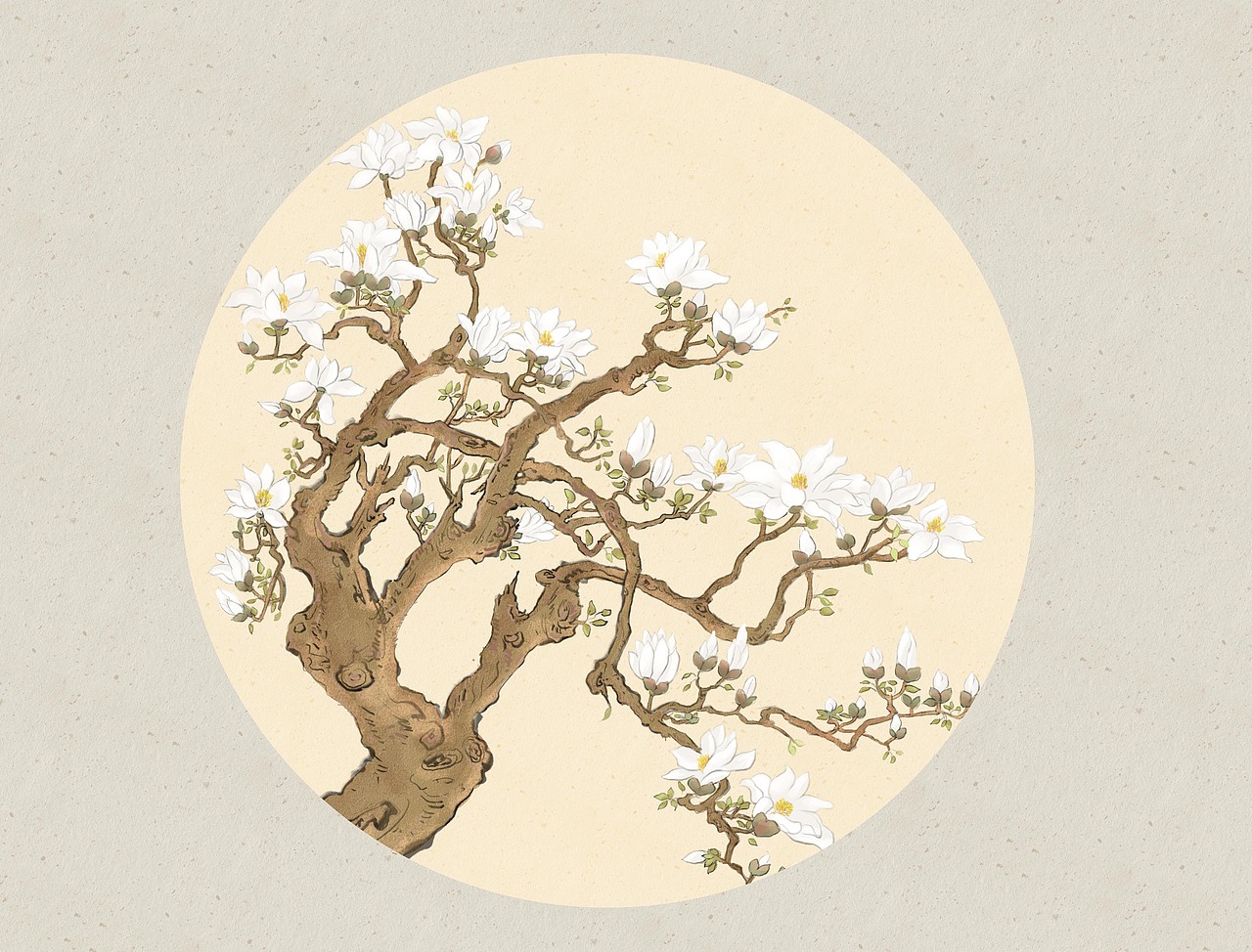 白玉蘭（圖ZMzA4Nzc2NjI4） - 商業(yè)插畫 - 站酷設(shè)計(jì)師蕭雲(yún)原創(chuàng)素材 - 站酷ZCOOL