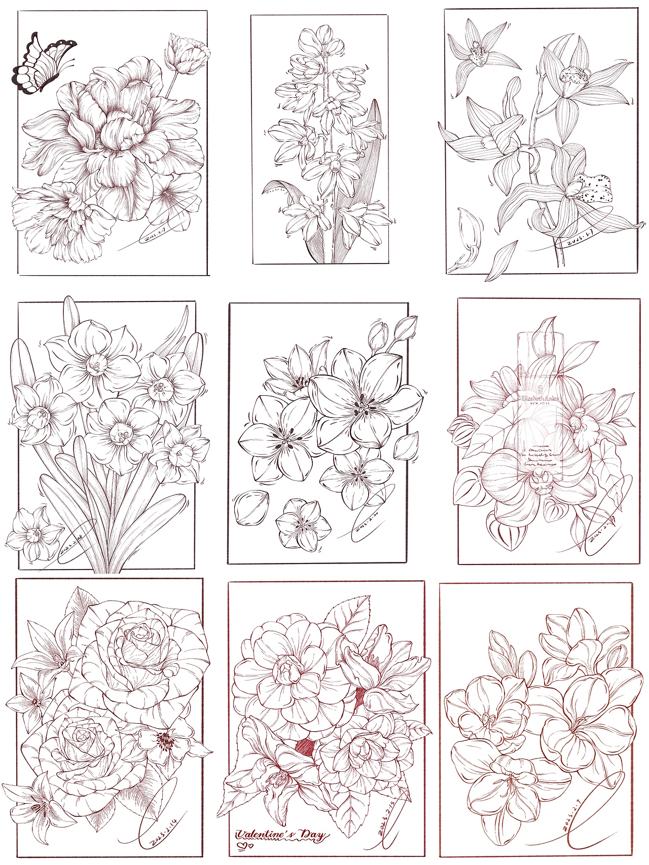 植物线稿创作合集（图ZMzQzMzA1OTY4） - 创作习作 - 站酷设计师禾二有四点原创素材 - 站酷ZCOOL