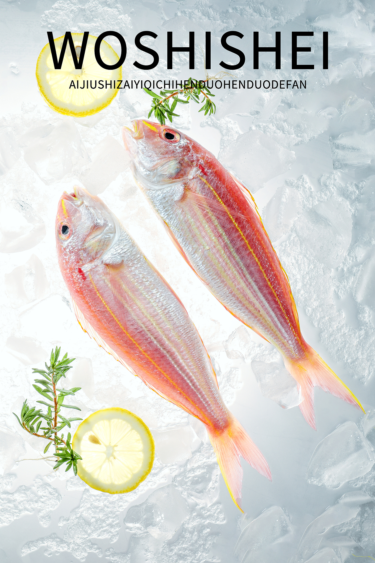 金线鱼/南美白对虾