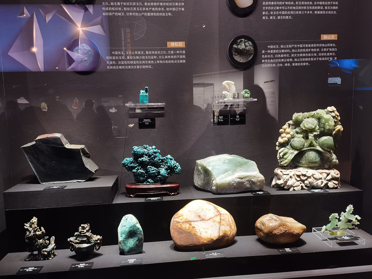 成都自然博物馆（图ZMzI0NTI3NDA0） - 展陈设计 - 站酷设计师聚光灯下锦衣夜行原创素材 - 站酷ZCOOL