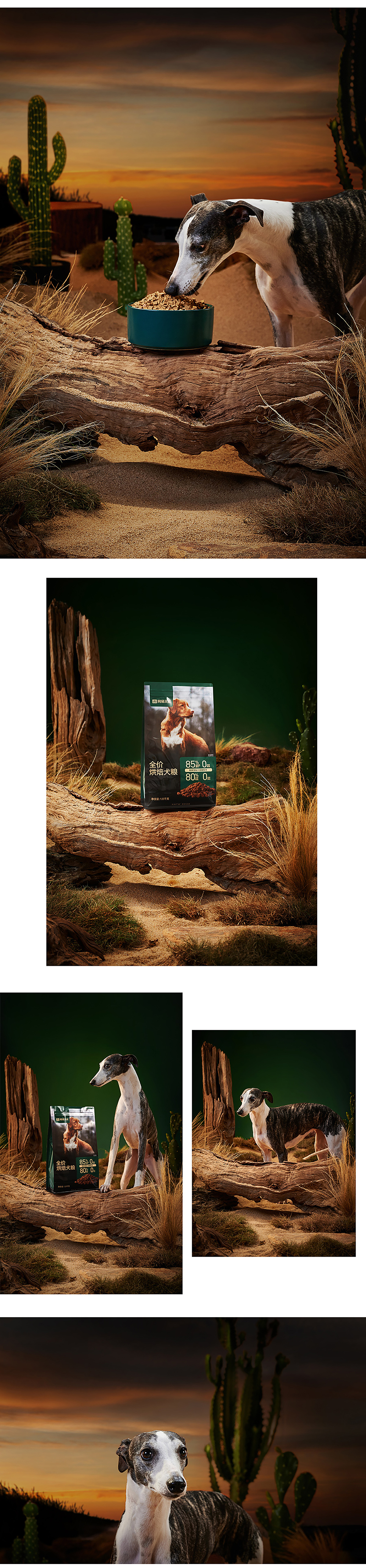 网易天成鲜肉低温烘焙狗粮|宠物 X 美集影像