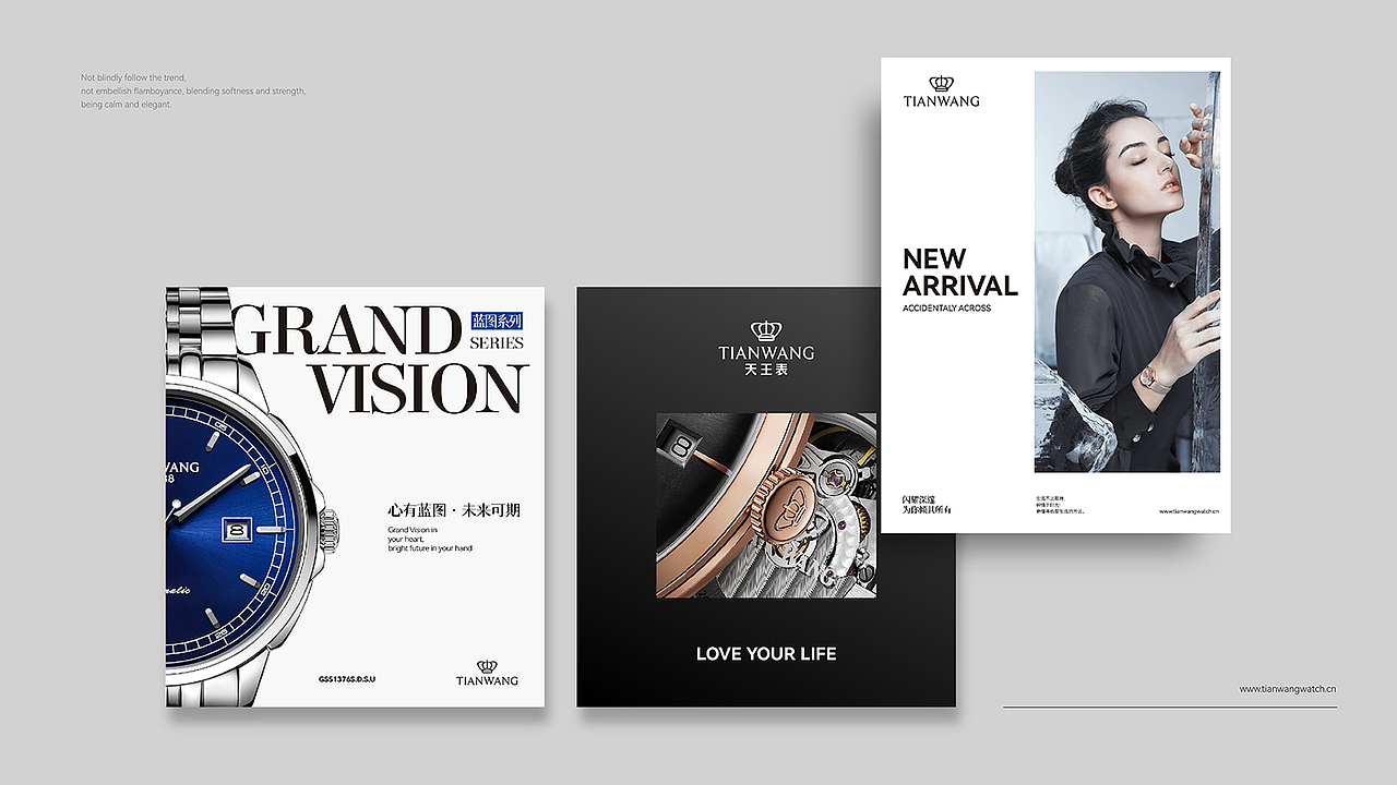 天王表品牌LOGO及VI设计全新升级