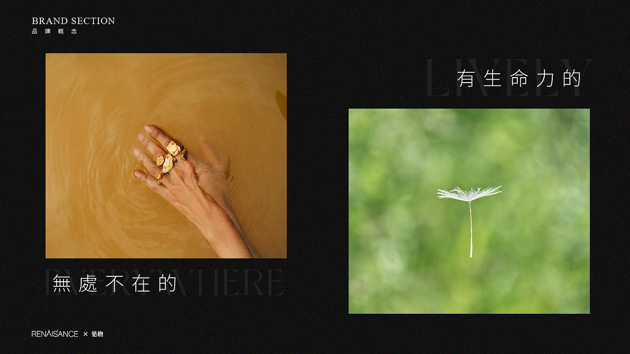 ©Renaissance×佑物RAV丨品牌案例分享