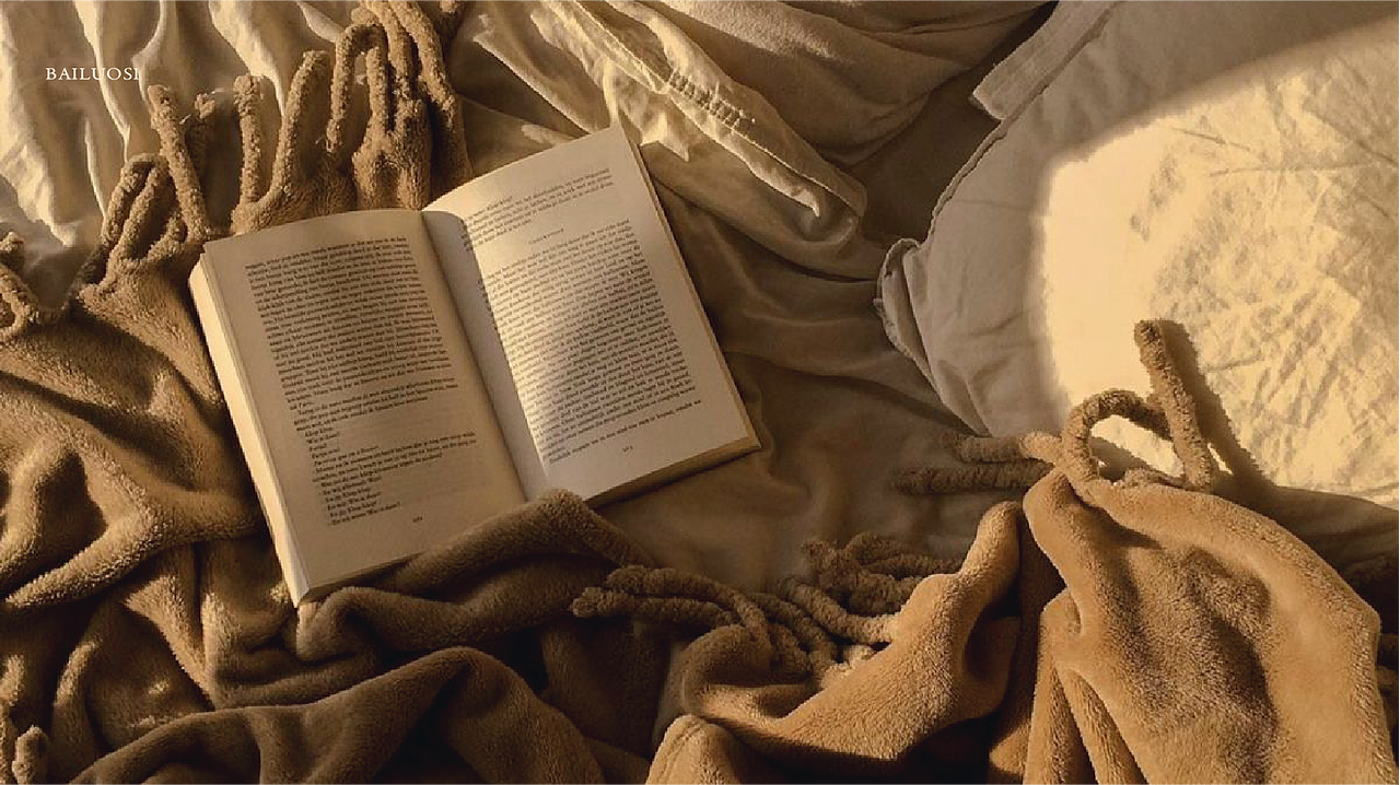 柏洛斯布艺vi提案