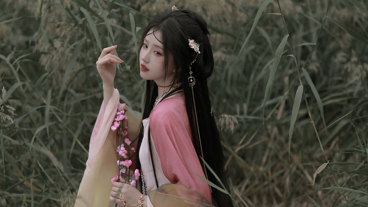 网络杂图《美人兮》见之不忘