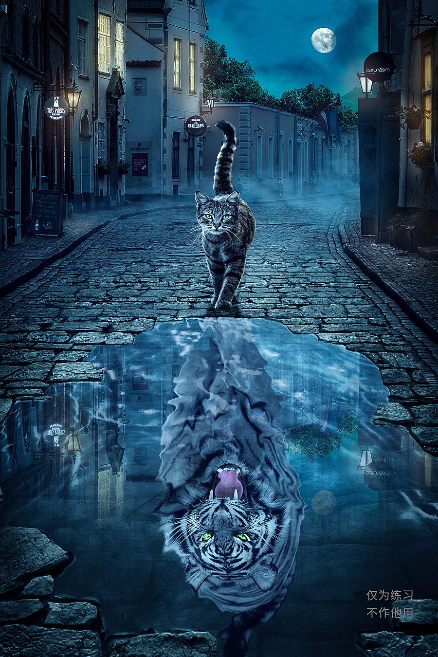 练习-平面合成海报-猫虎（图ZMzA5MDY1MDc2） - 海报 - 站酷设计师u王王u原创素材 - 站酷ZCOOL