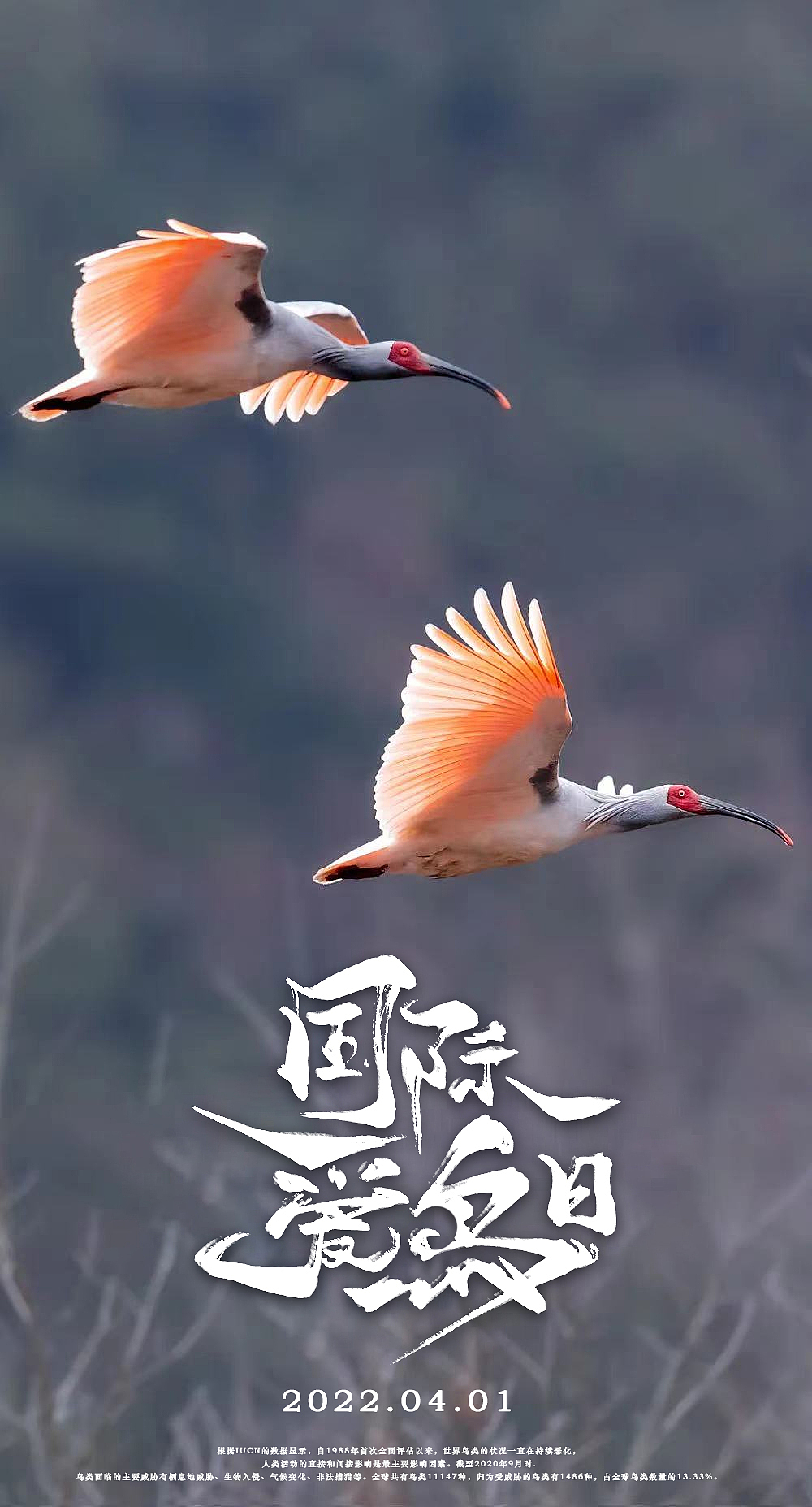 春天的字体（图ZMjk3MTUxMzM2） - 字体/字形 - 站酷设计师百威大聖原创素材 - 站酷ZCOOL