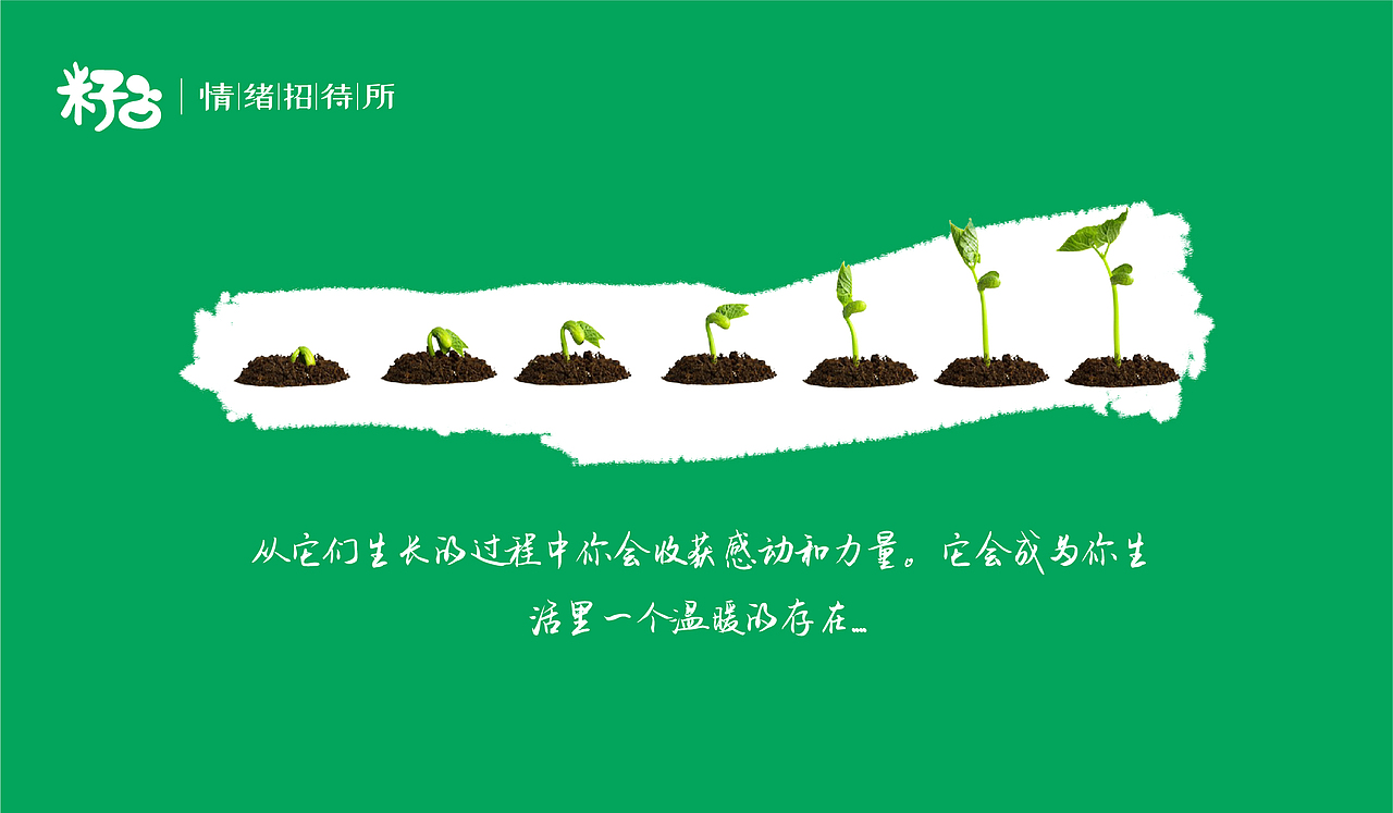 籽曰·治愈你的孤独