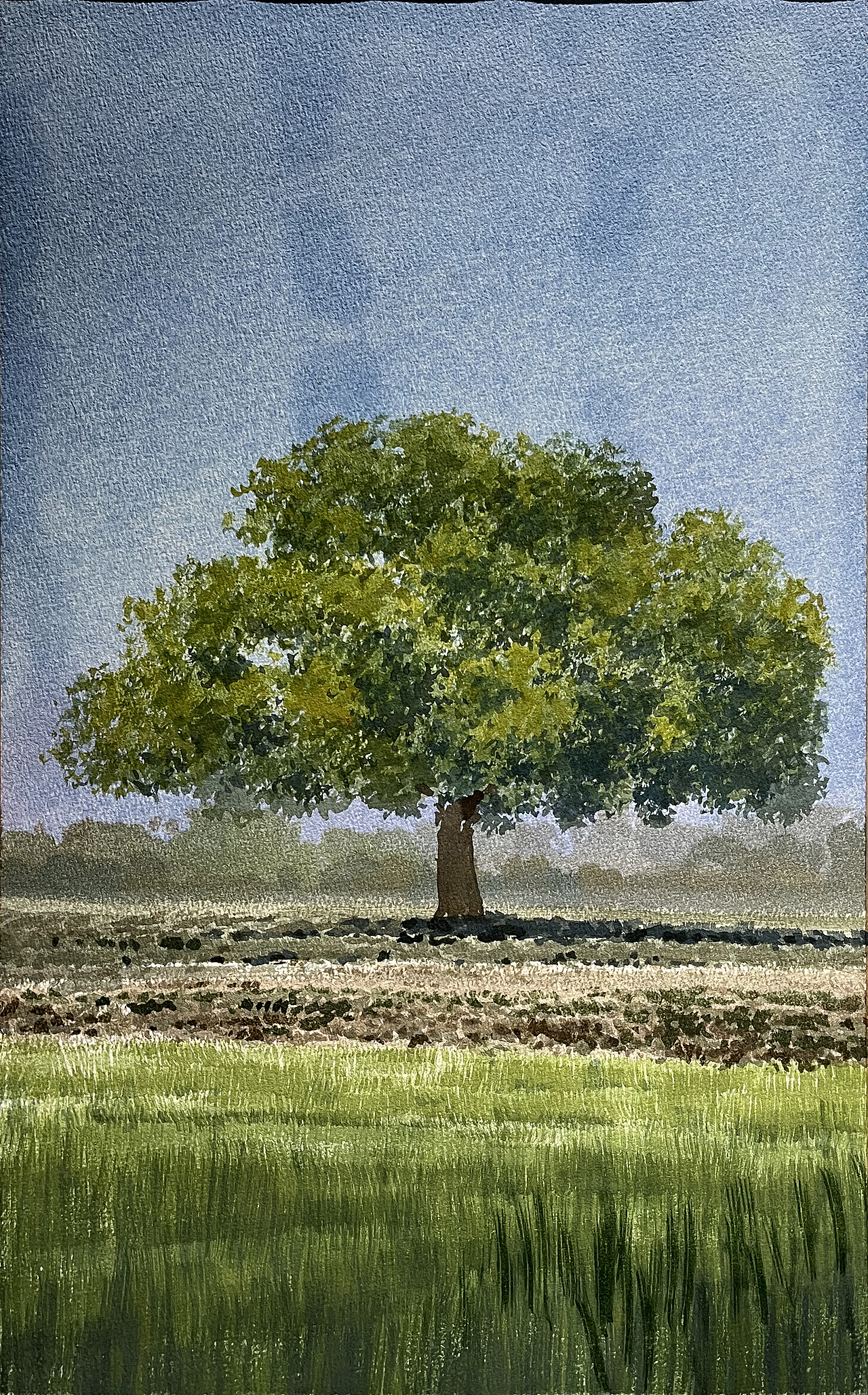 水彩风景——秋天,逃不过那棵树