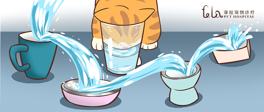 宠物医院漫画工作汇总