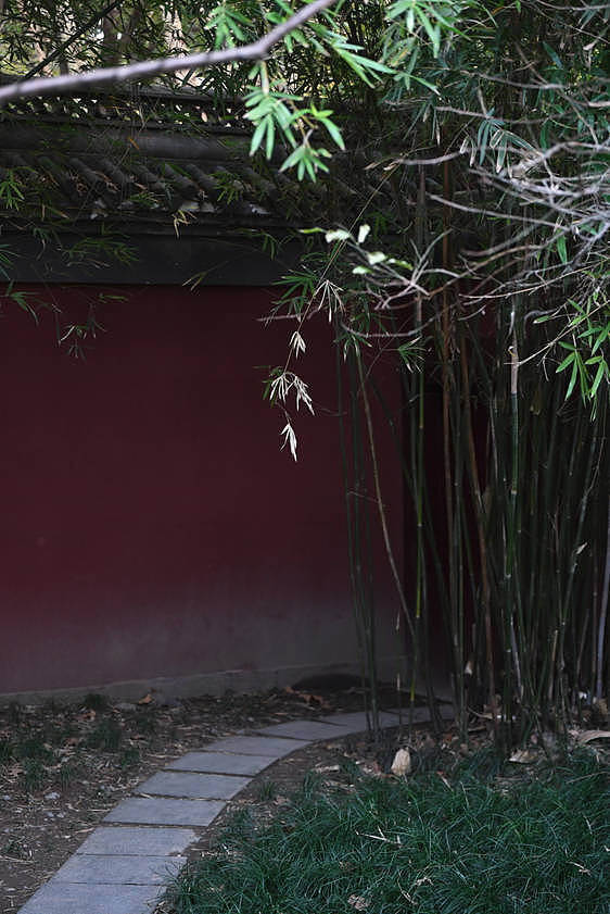 【中国节气】冬至（图ZMzU4MzgwMjIw） - 产品摄影 - 站酷设计师摄影师郜高飞原创素材 - 站酷ZCOOL