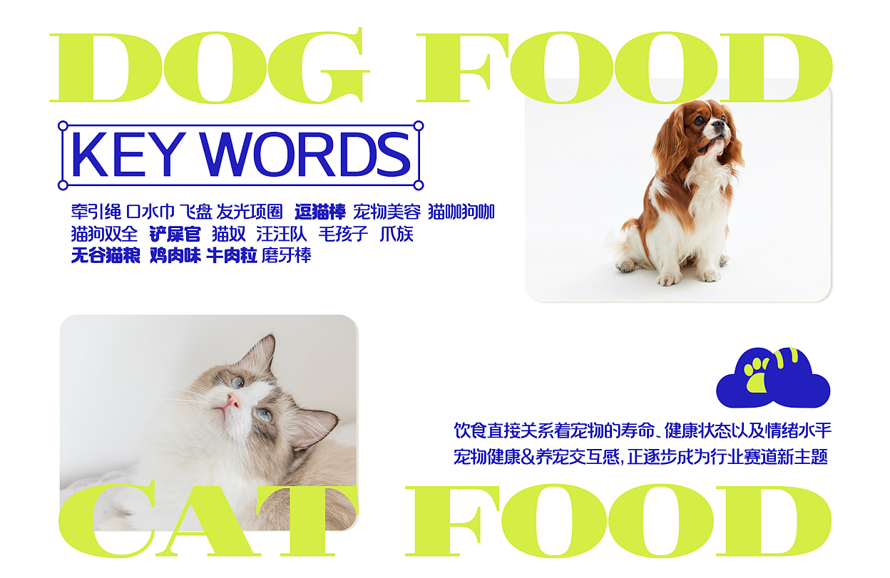 HOLY CHEF 宠物品牌设计&宠物包装设计