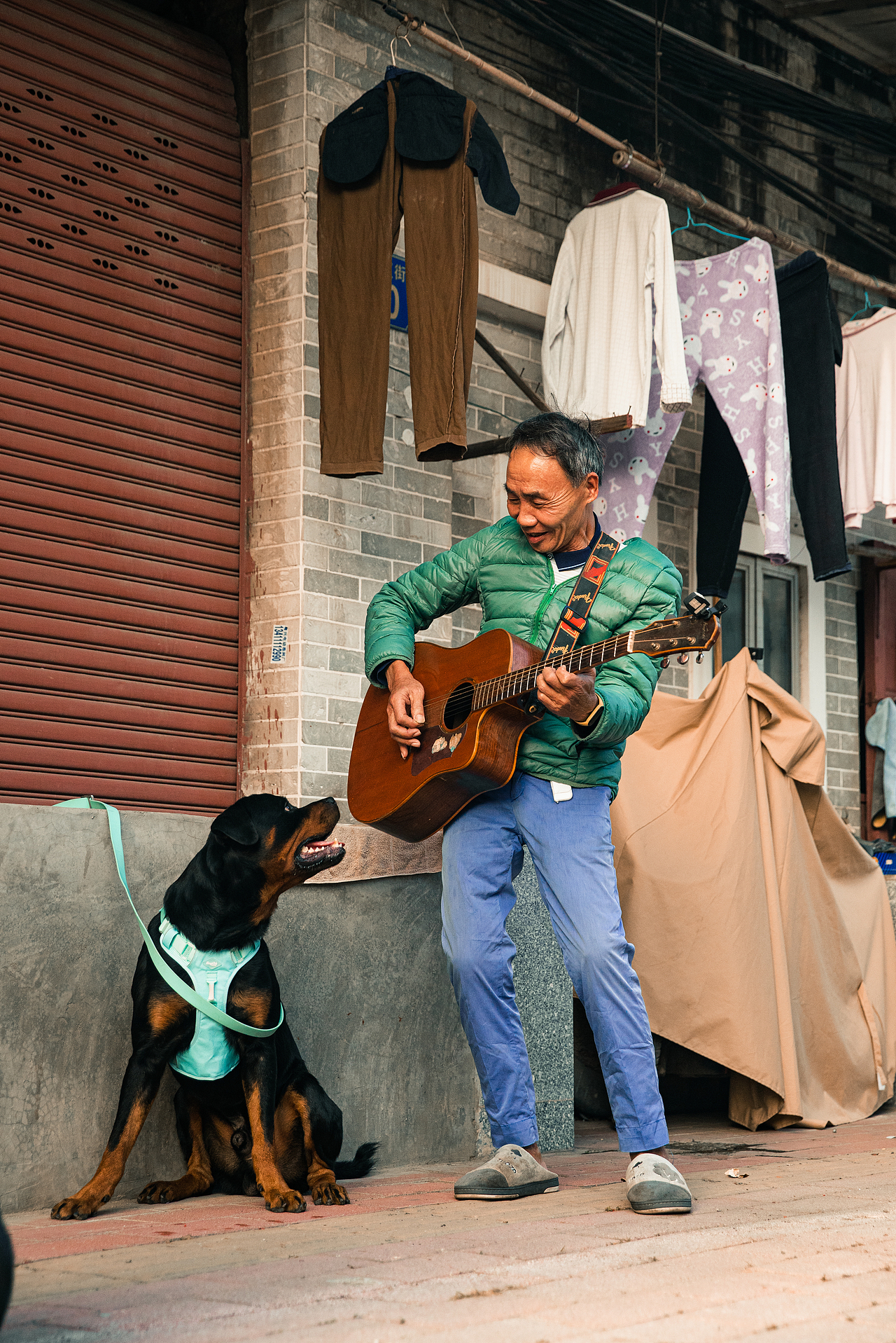 街巷里的老人与狗