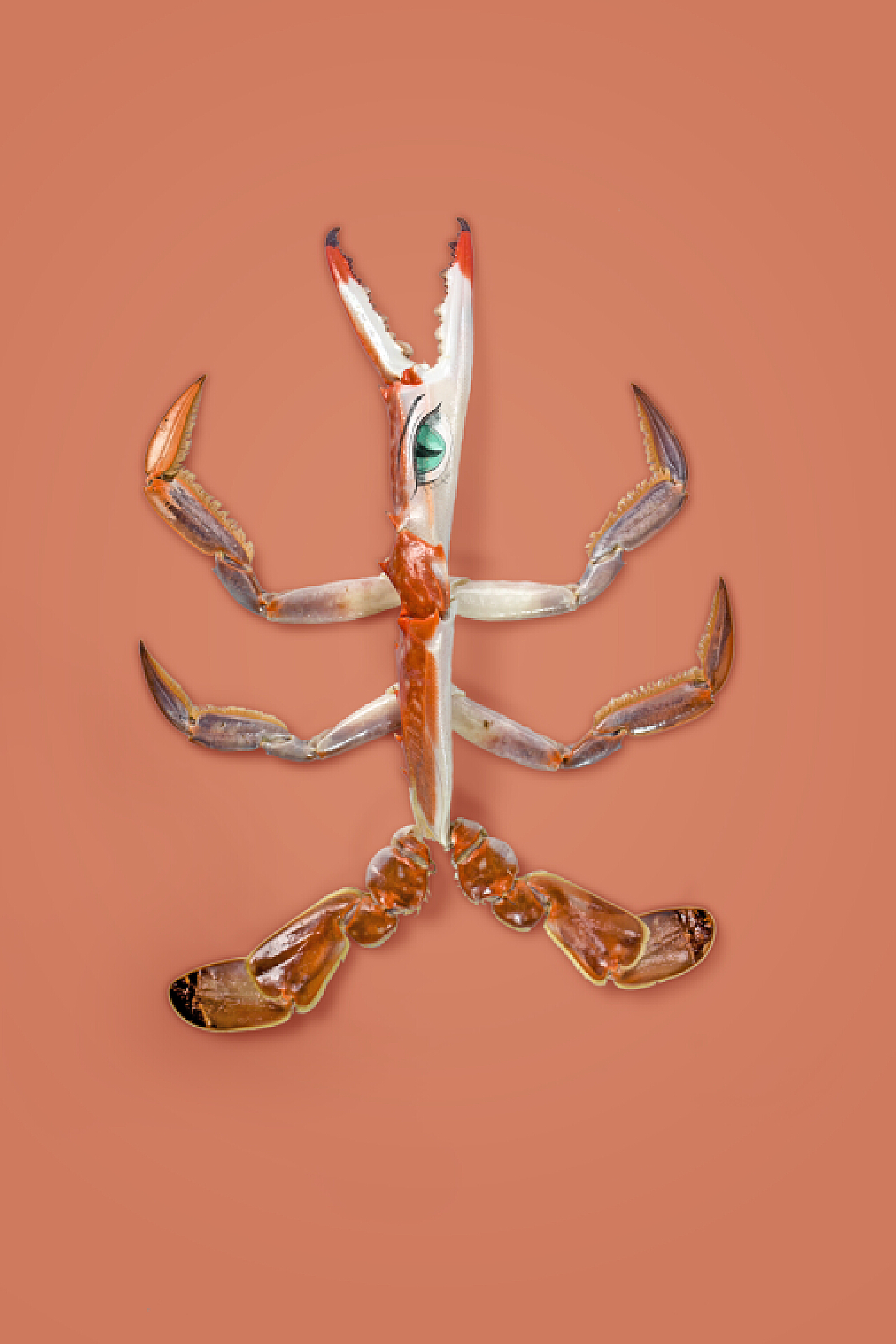 用苹果DIY超有创意的小螃蟹做法 肉丁儿童网