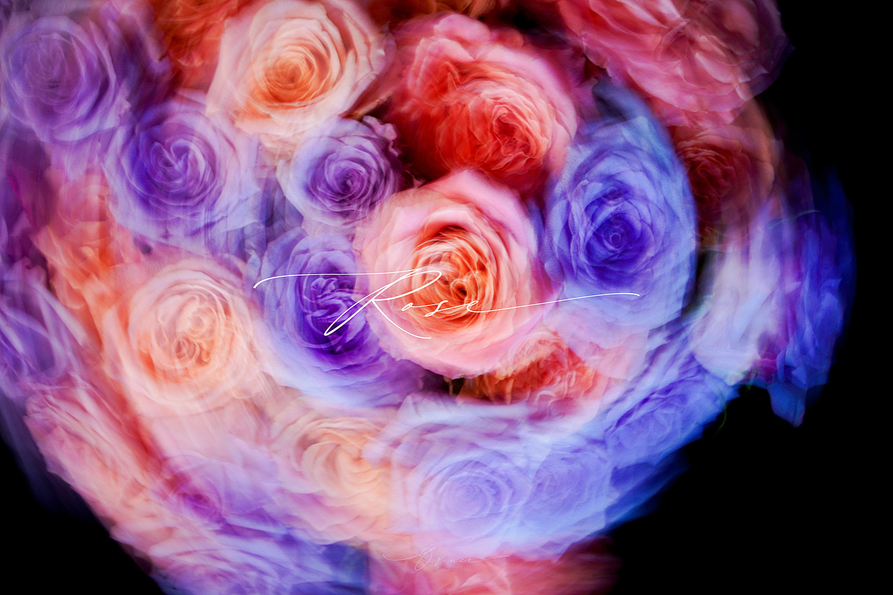 玫瑰（La Vie en Rose）朱小姐+海洋之歌（圖ZMzM3NzYxOTMy） - 時(shí)尚/藝術(shù)攝影 - 站酷設(shè)計(jì)師拾光者Orince原創(chuàng)素材 - 站酷ZCOOL