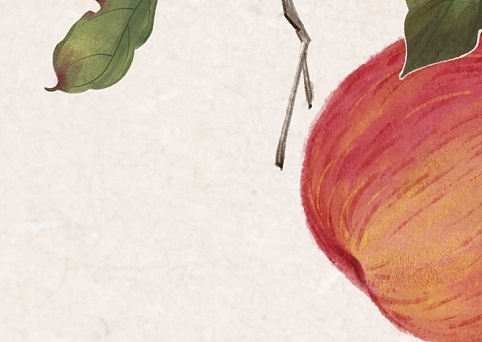 中式平安喜乐苹果插画装饰画