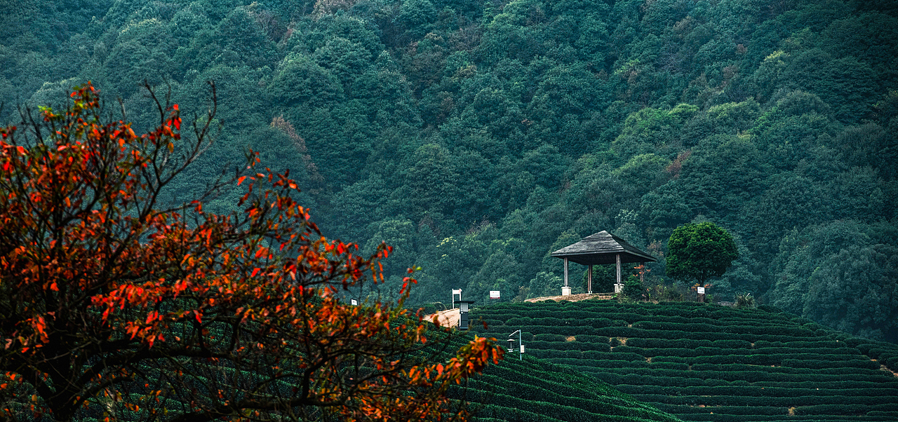 龙坞茶镇（图ZMzIzODYxODMy） - 其他摄影 - 站酷设计师Dmoo1原创素材 - 站酷ZCOOL