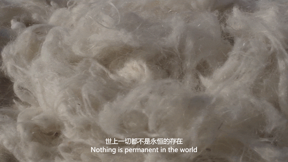 女装拍摄 墨尔本《我们一直在旅行》新浪漫主义 香影