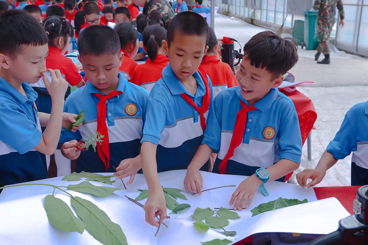 走出教室,走进田间丨后溪小学走进文源山现代农业基地