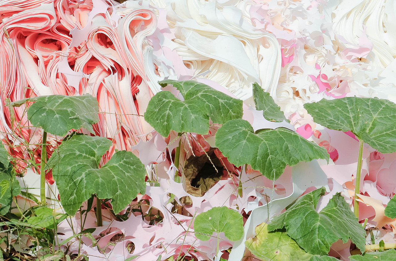 2022，好像拍了，又好像没拍...（图ZMzI1MTc5NTQ4） - 其他摄影 - 站酷设计师诗云品牌原创素材 - 站酷ZCOOL