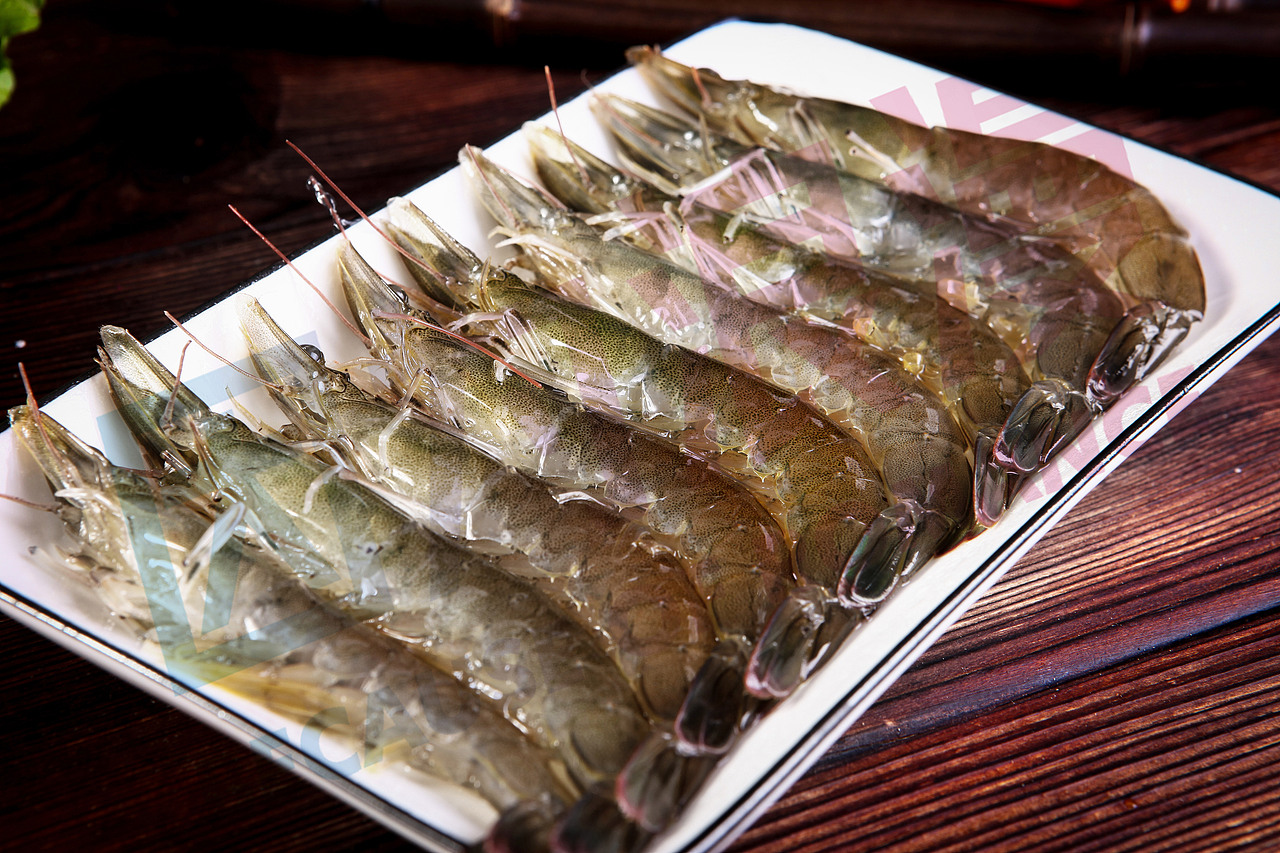 生鲜虾拍摄、拍摄作品