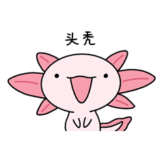 鱼粉崽动态表情包