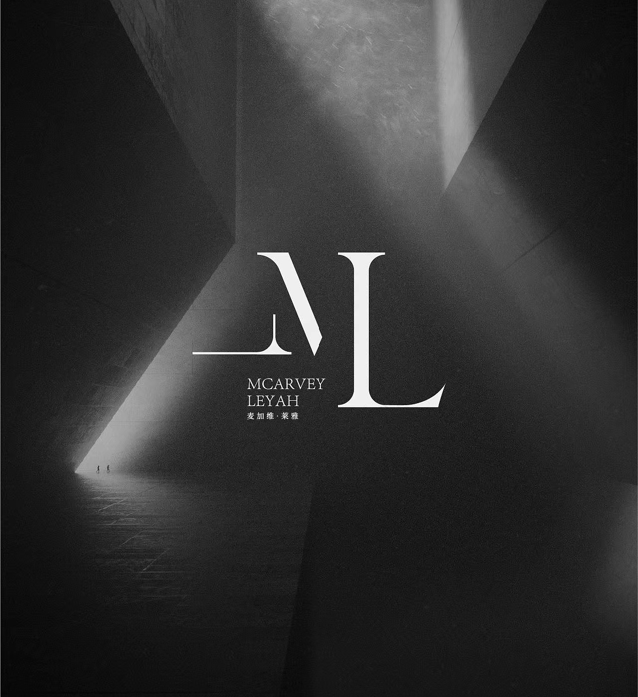 高级感字母LOGO合集｜这样设计太绝了!（图ZMzM1MjY0NTMy） - 品牌 - 站酷设计师雨夜品牌设计原创素材 - 站酷ZCOOL