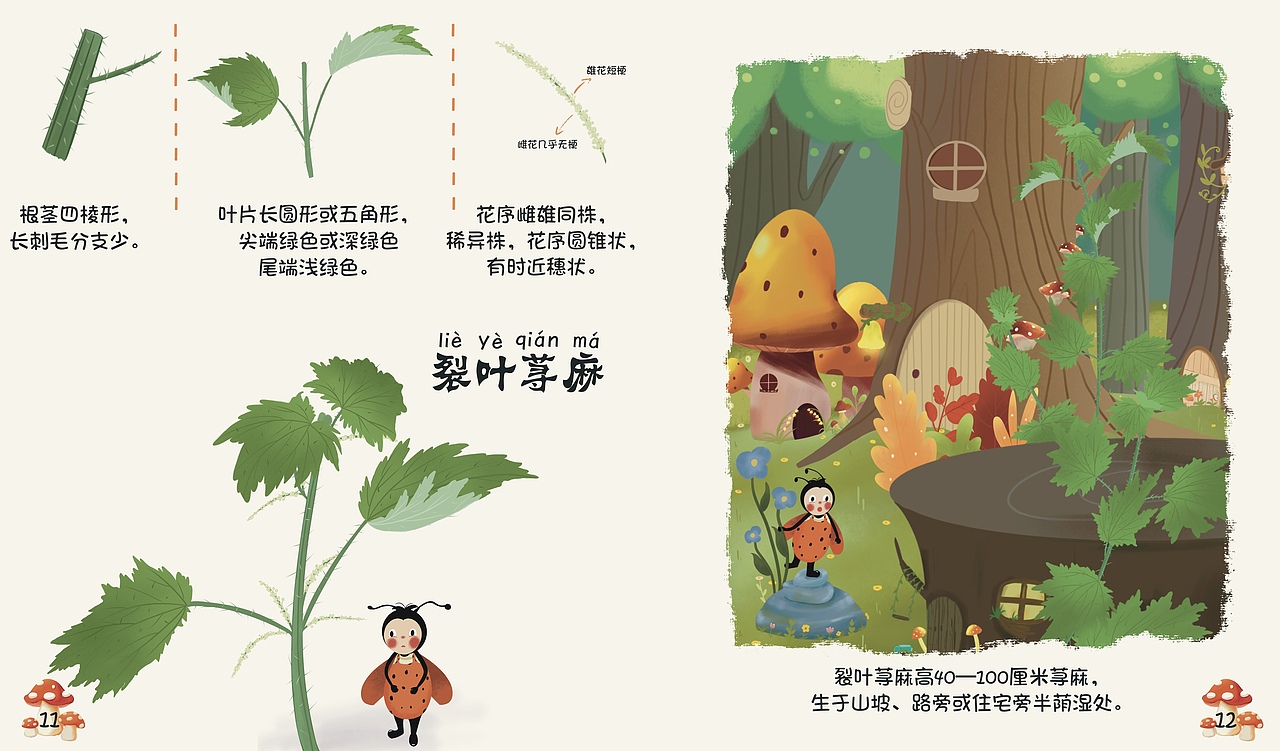 科普绘本：《嗨！荨麻》（图ZMzMwMDMwMTY4） - 绘本 - 站酷设计师BuGui不归原创素材 - 站酷ZCOOL