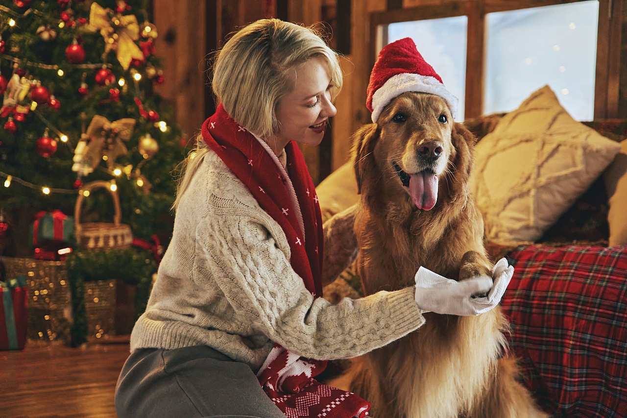 商业拍摄-宠物护理产品圣诞节主题拍摄