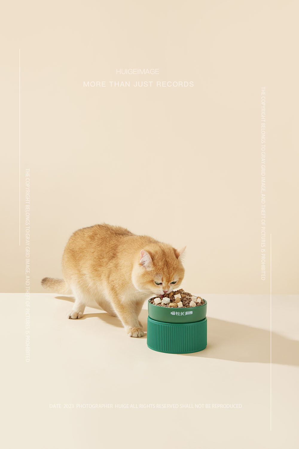 喵社长宠物猫粮电商平面