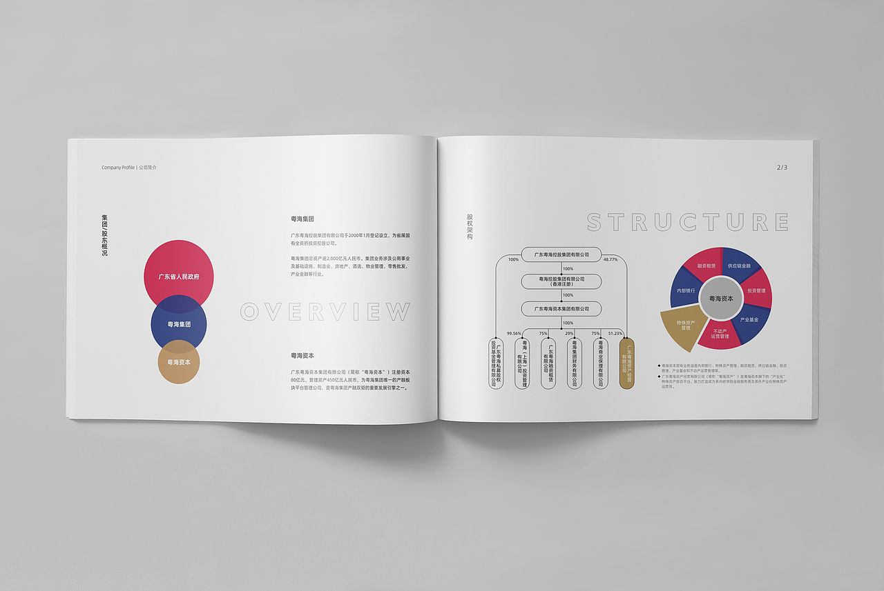 资产管理公司宣传册（图ZMzQ0ODYwNzIw） - 书籍/画册 - 站酷设计师梯田设计原创素材 - 站酷ZCOOL