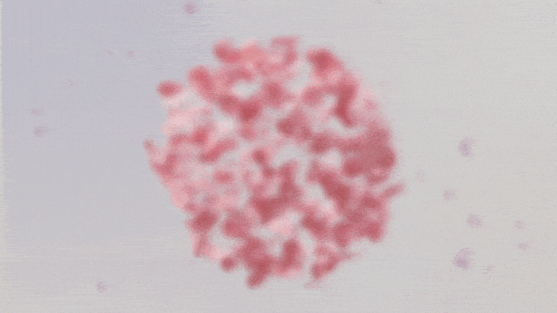 花_个人三维动态设计练习作品（图ZMzMxMTEwNzA0） - Motion Graphic - 站酷设计师七条命原创素材 - 站酷ZCOOL