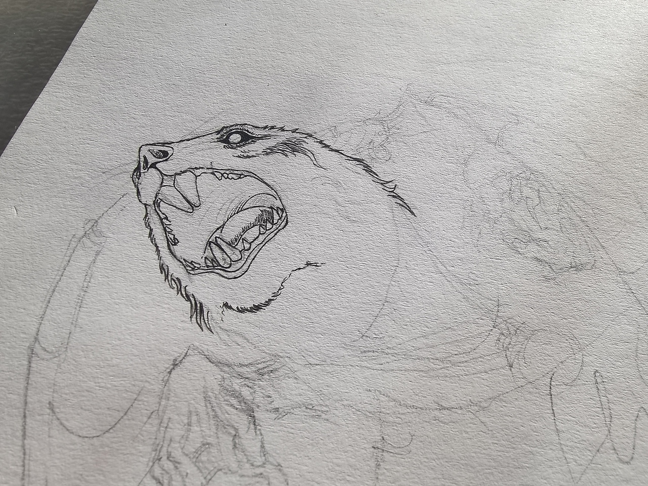 2024.03.10毣柞山海-北山经-虢山-寓鸟