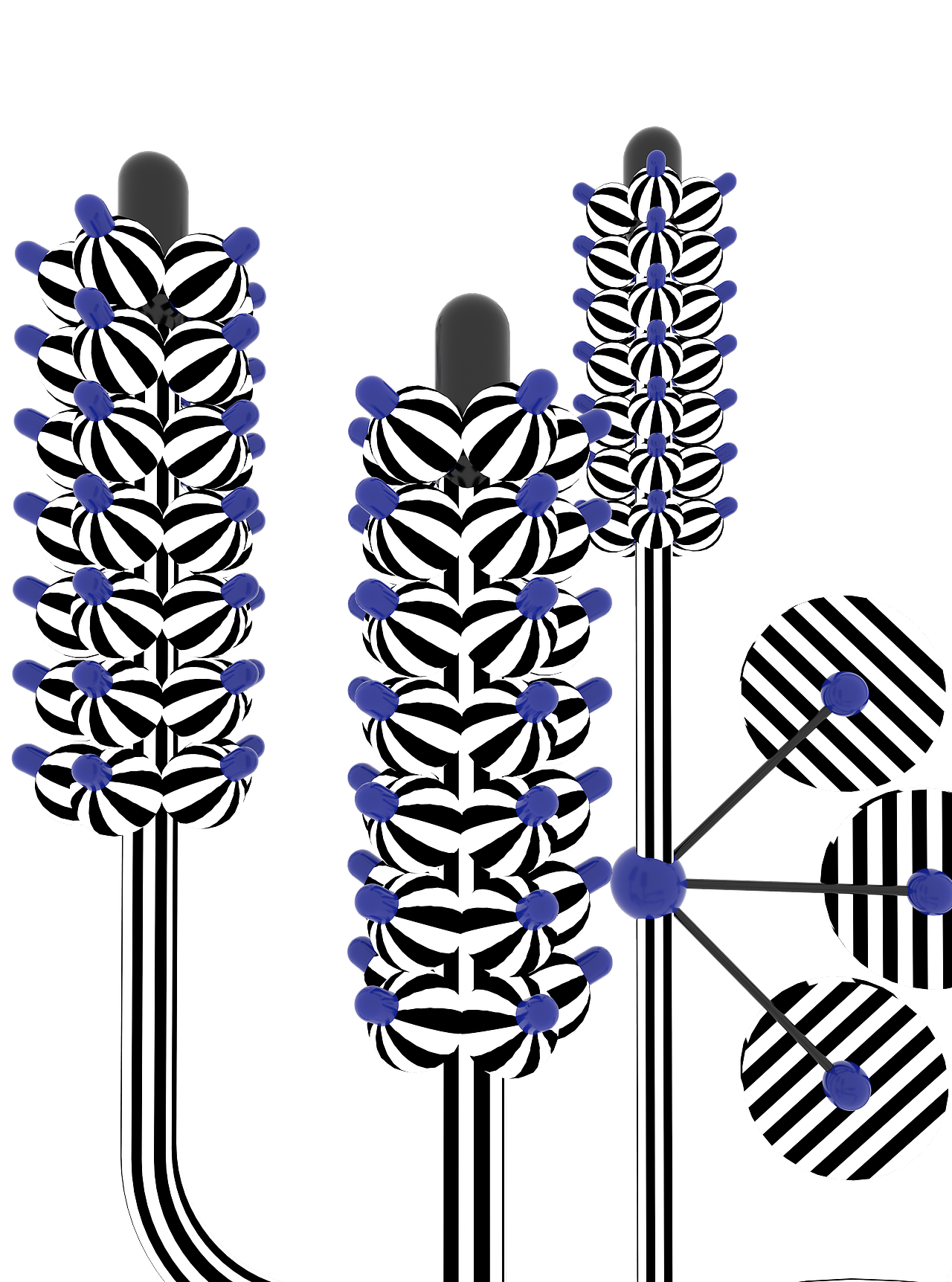 元植物构想(黑白,第二稿)