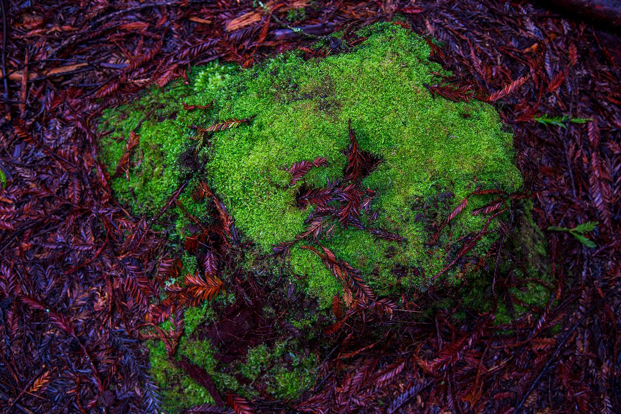 新西兰南北岛穿越之旅（图ZMzUzNzQxODMy） - 风光摄影 - 站酷设计师暗影嗜血原创素材 - 站酷ZCOOL