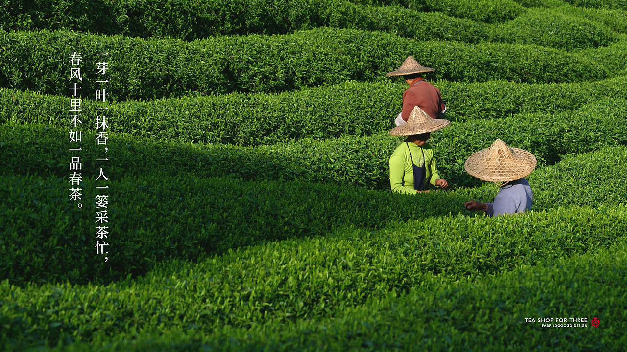 近期LOGO设计｜茶叶 环保 医药（图ZMzA5MzQ0OTI0） - Logo - 站酷设计师阿升Jason原创素材 - 站酷ZCOOL