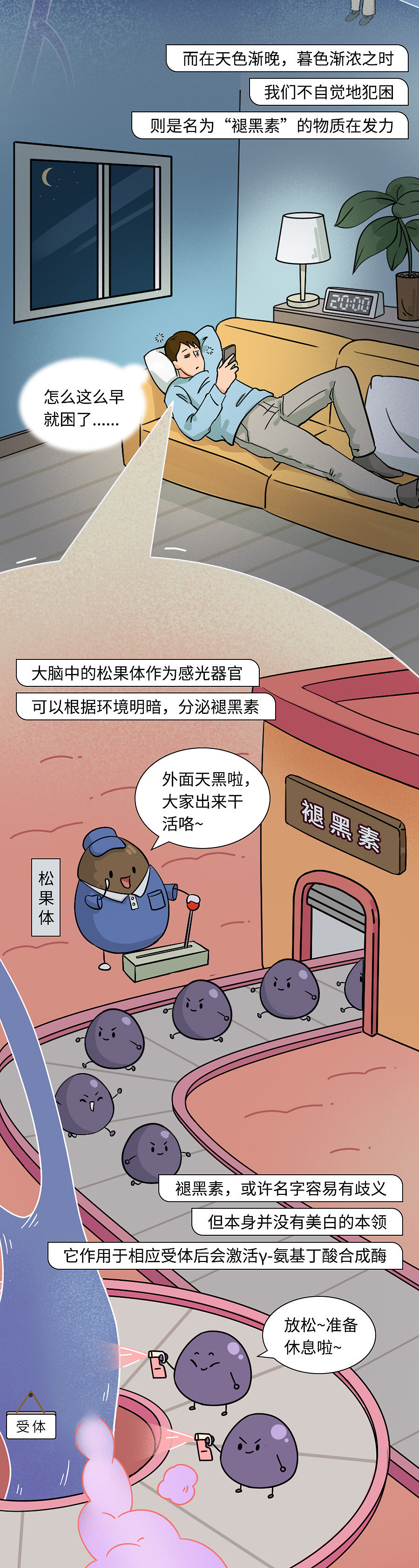 世界睡眠日:大脑是如何让我们产生睡意的?