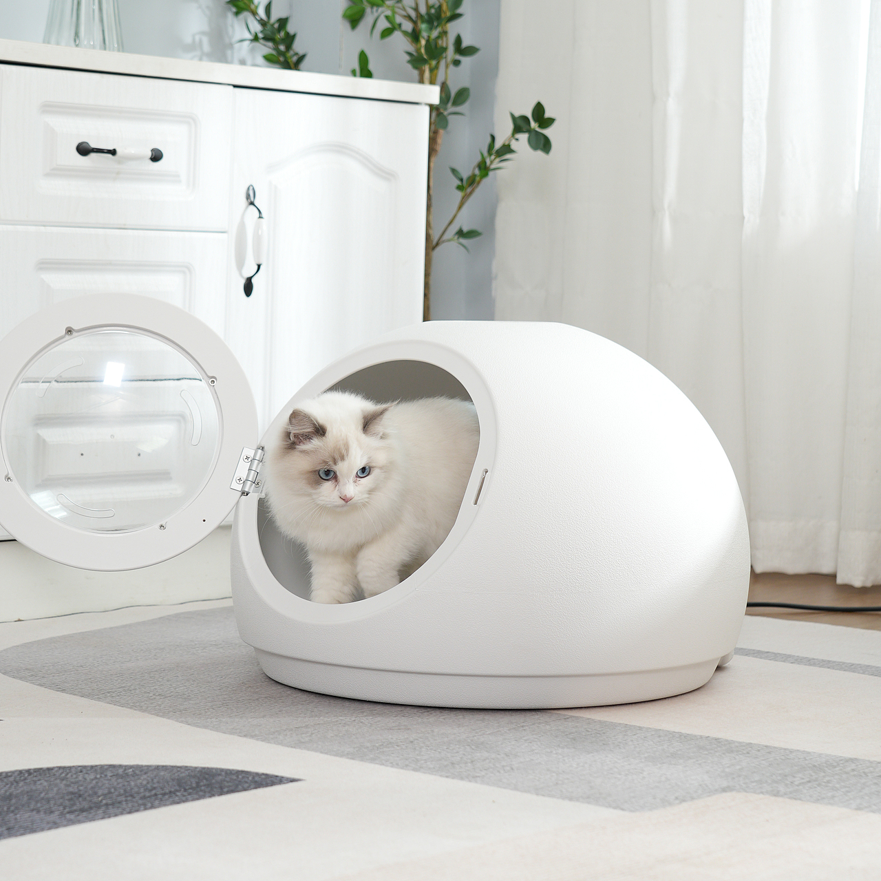 电器产品摄影宠物吹毛机主图视频拍摄亚马逊详情设计产