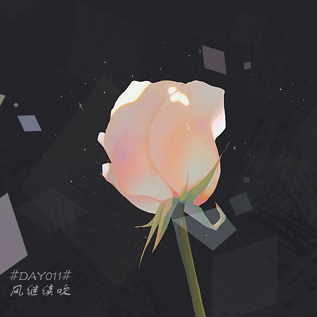 色彩练习 2022.1.1~2022.3.1