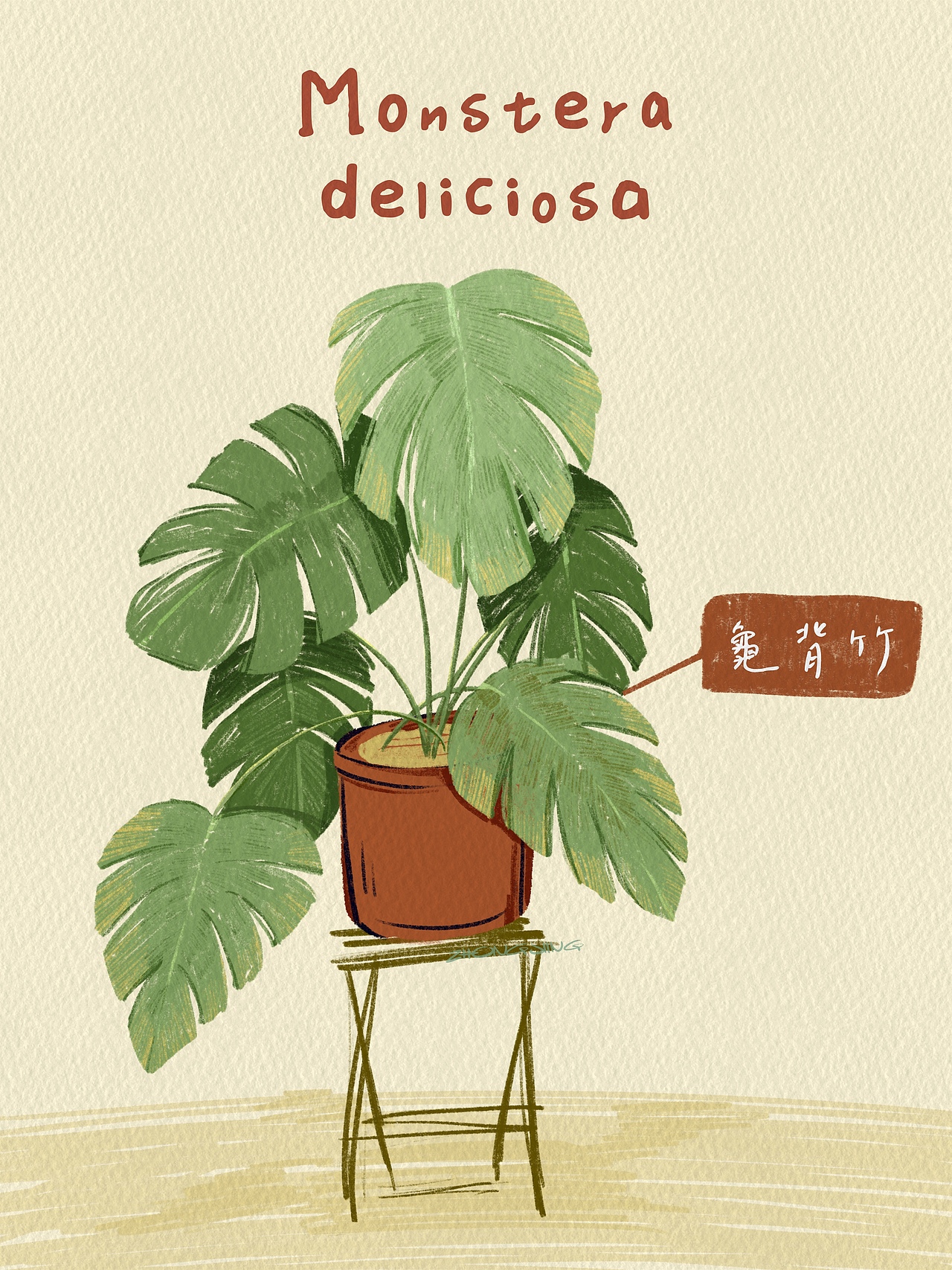 妈妈的小花室|植物速写插画