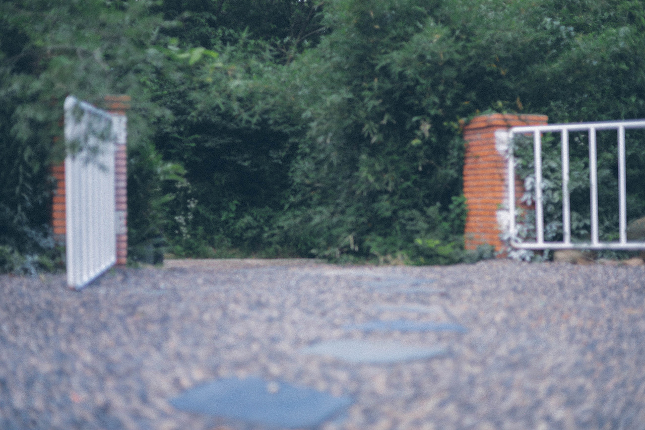 Summer Vibe（图ZMzQzMTg5NTIw） - 人文/纪实摄影 - 站酷设计师木里MULI原创素材 - 站酷ZCOOL