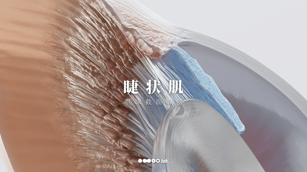 睫狀?。▓DZMzE0NjEzMDEy） - 人物/生物 - 站酷設(shè)計(jì)師omoolab原創(chuàng)素材 - 站酷ZCOOL