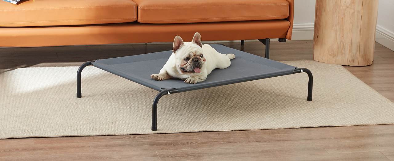 宠物摄影 床品 毯子 被套 床垫 亚马逊家纺