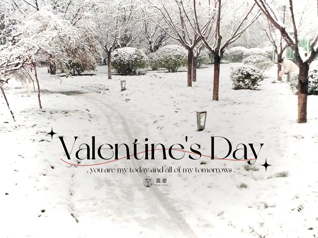 甲辰年第一场雪