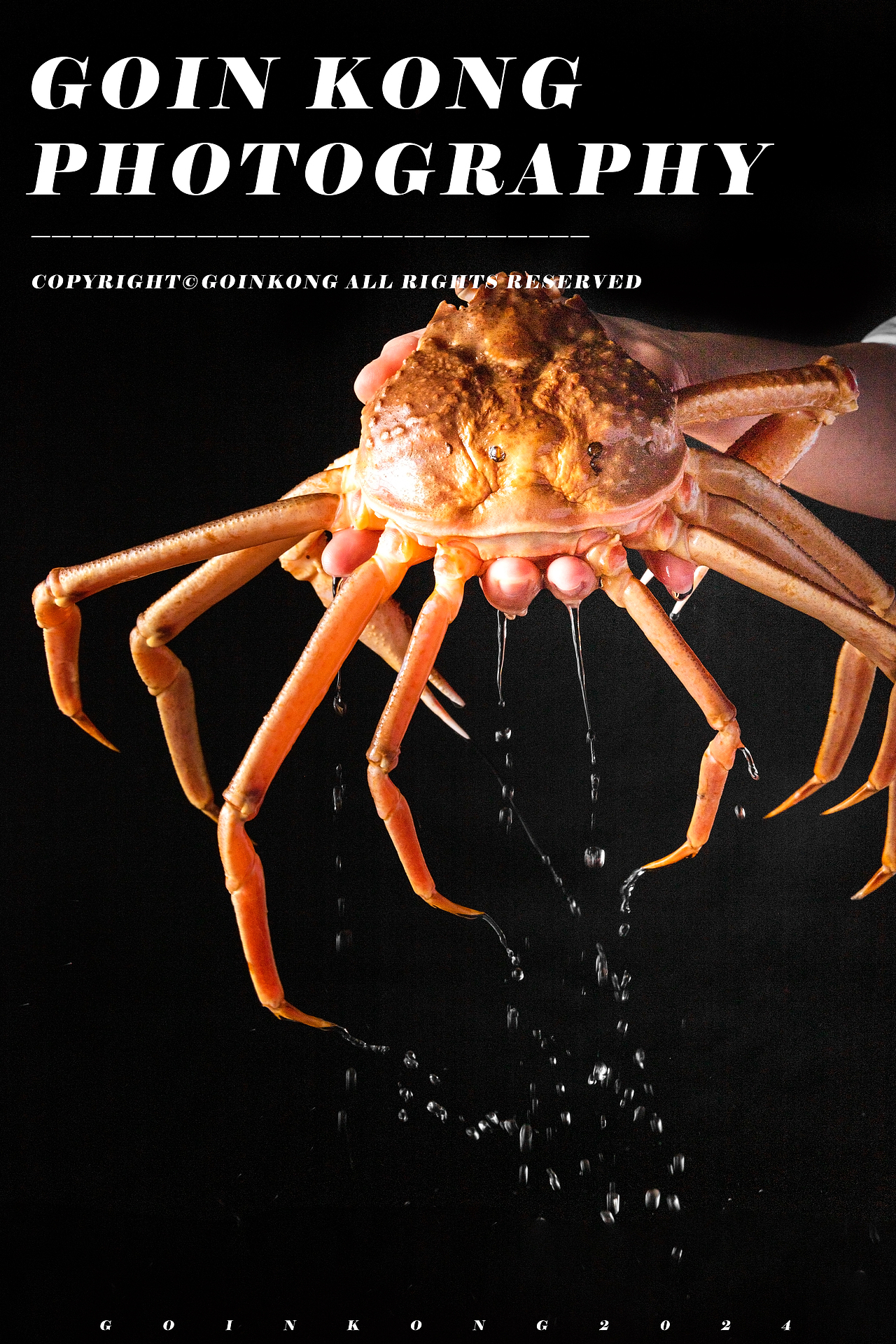 串烧美食X烧烤摄影X小吃摄影