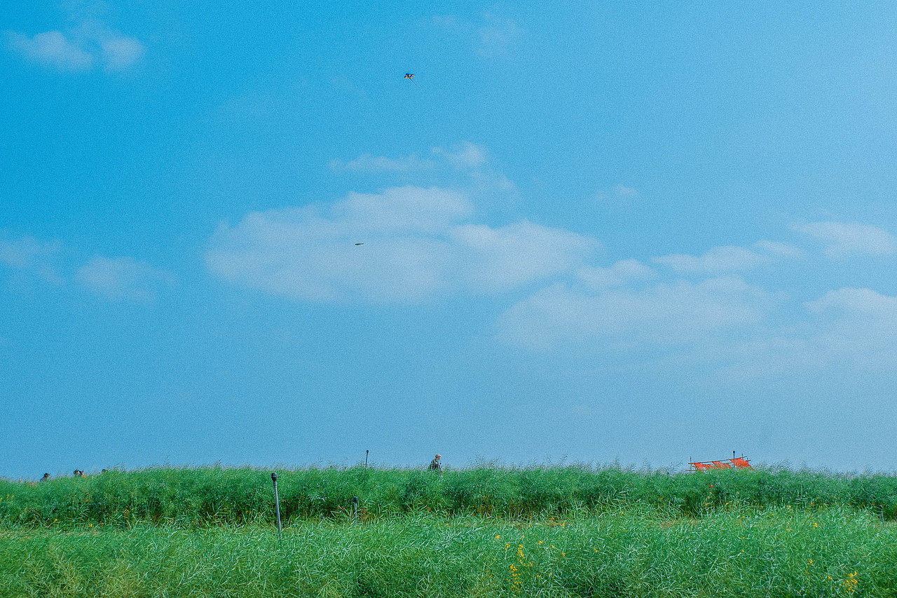 2月光明小镇欢乐田园半日游及外食(白玉串城)