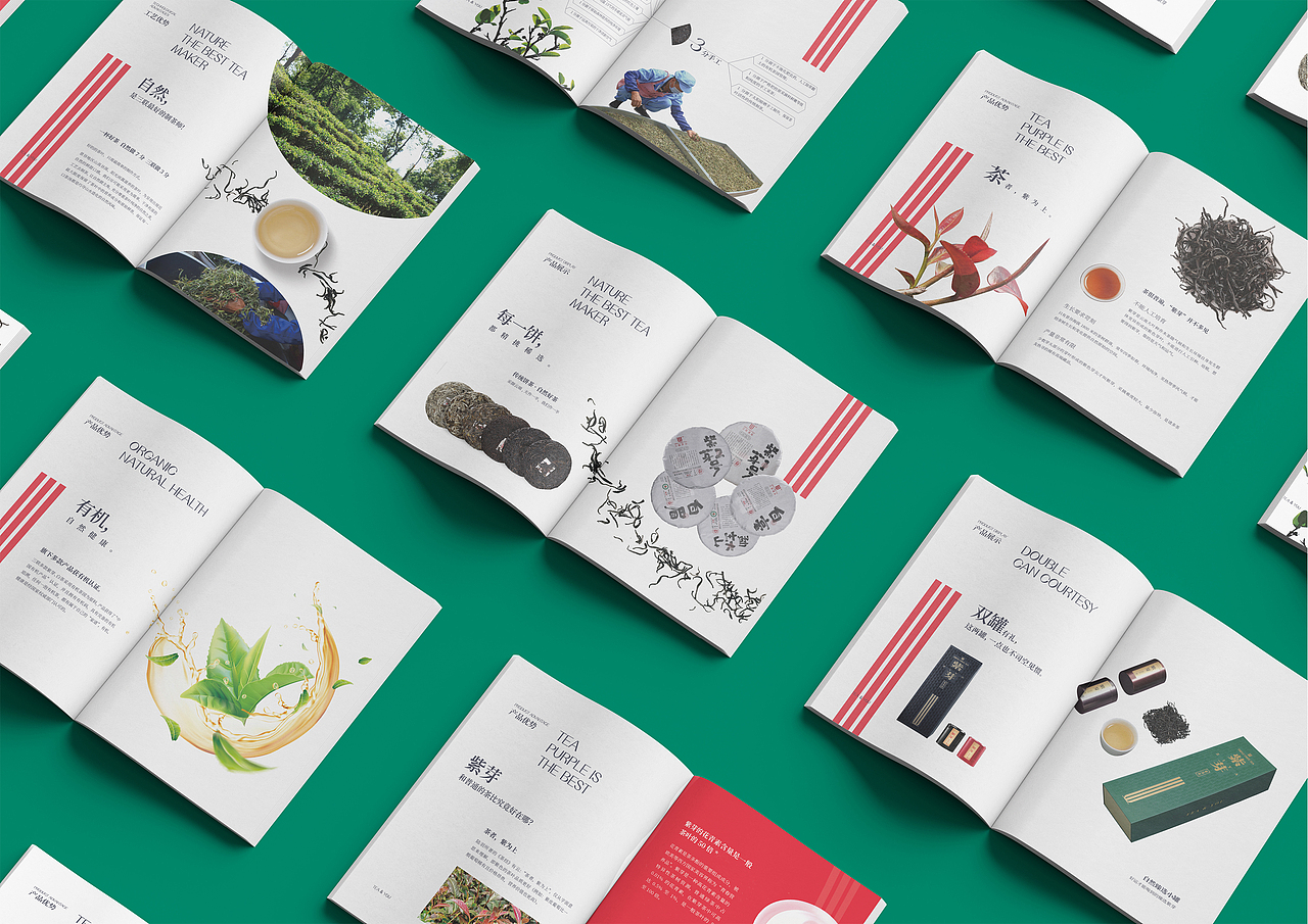 茶叶宣传册设计 年轻人的茶 普洱茶画册设计