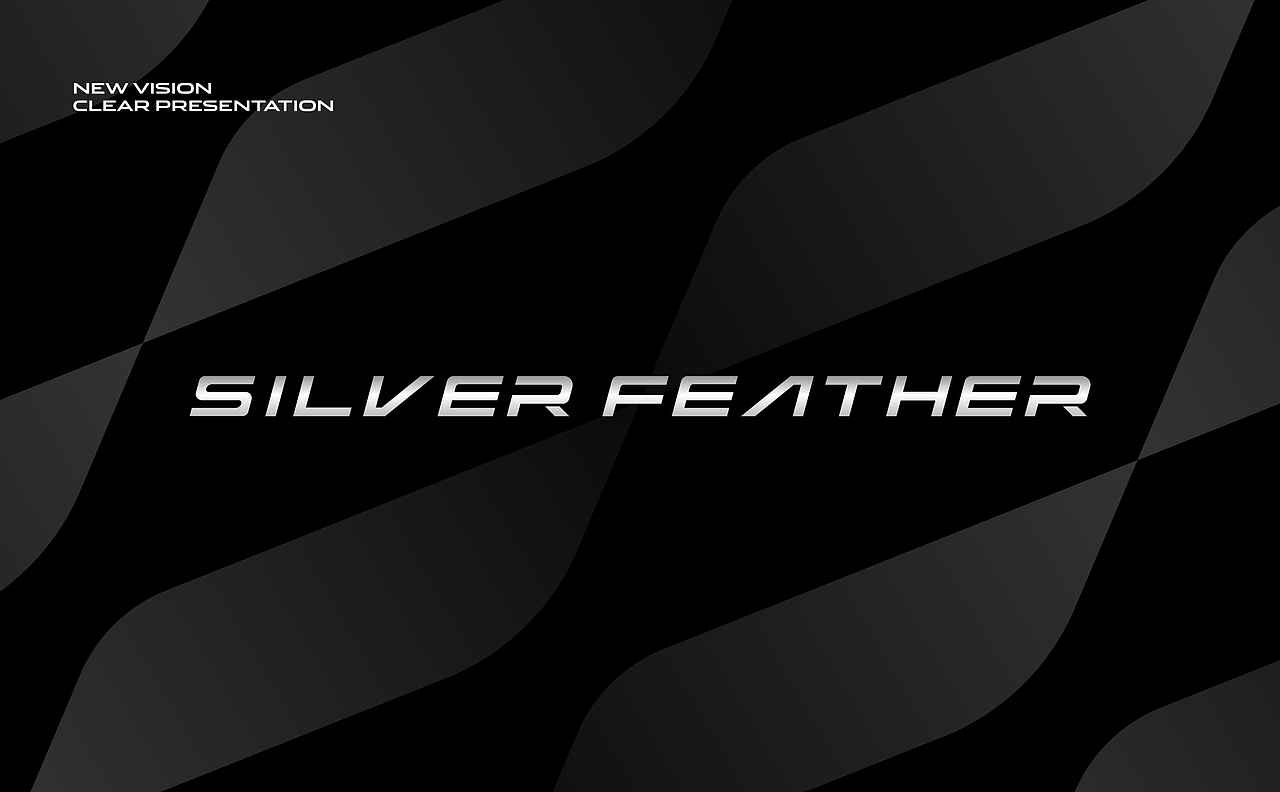 SILVER FEATHER 科羽游艇 | ABD案例