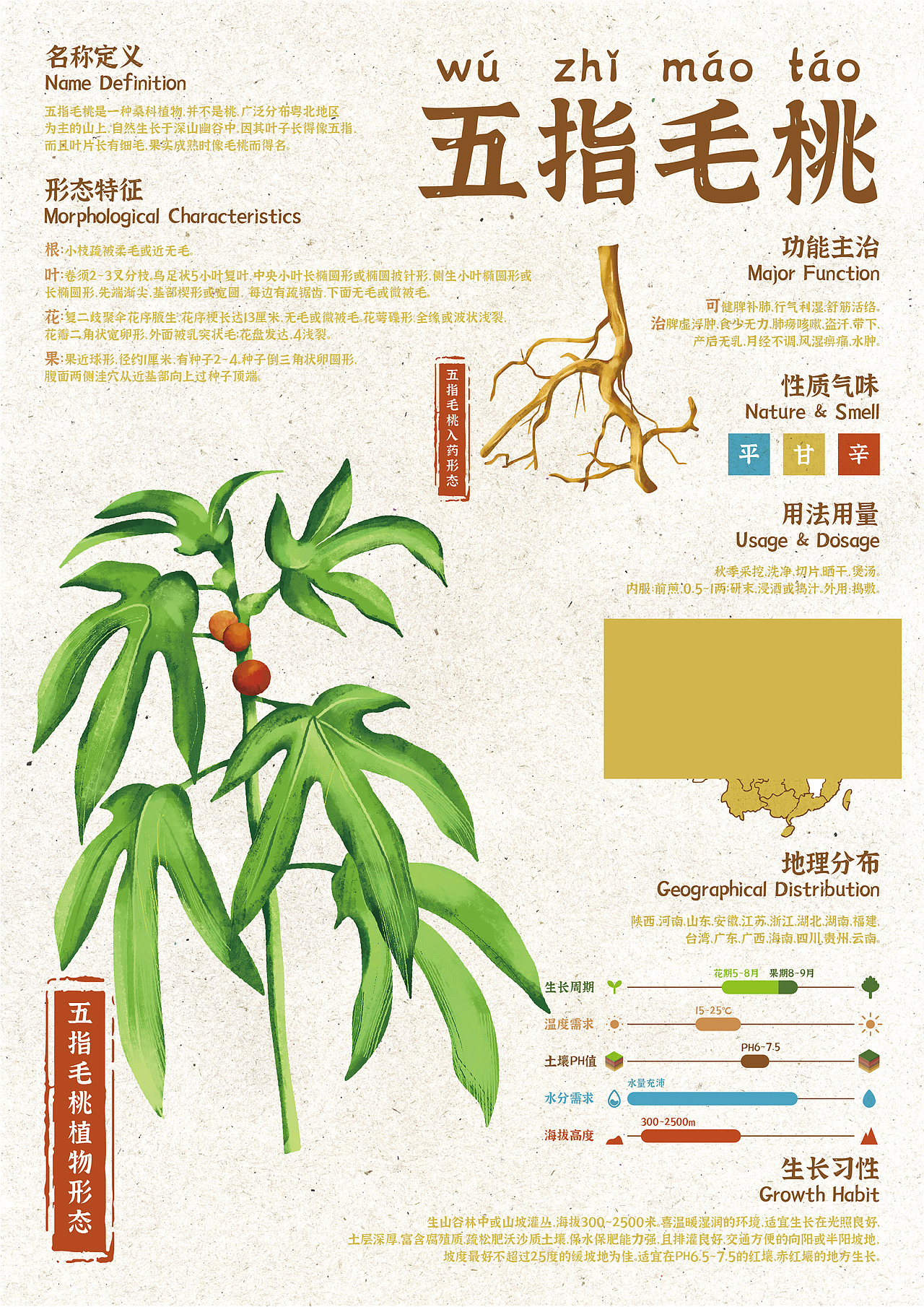 煲汤药材—信息可视化